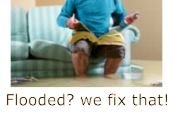 carpet cleaning tampa fl